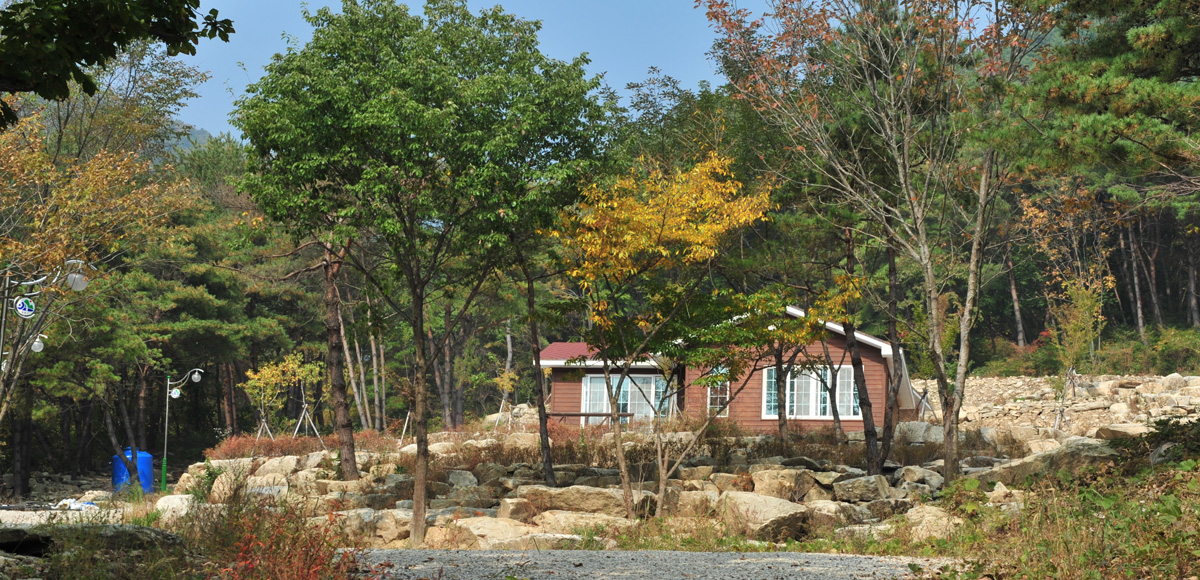 Daebongsan Mountain Natural Recreational Forest