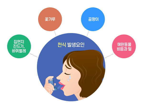 유전 : 알레르기 체질, 집먼지진드기, 바퀴벌레 / 곰팡이 / 꽃가루 / 애완동물 비듬과 털 → 천식