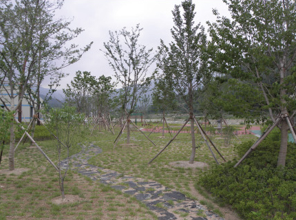 Khu vực ngoài trời của Bảo tàng khoa học thảo dược Hamyang