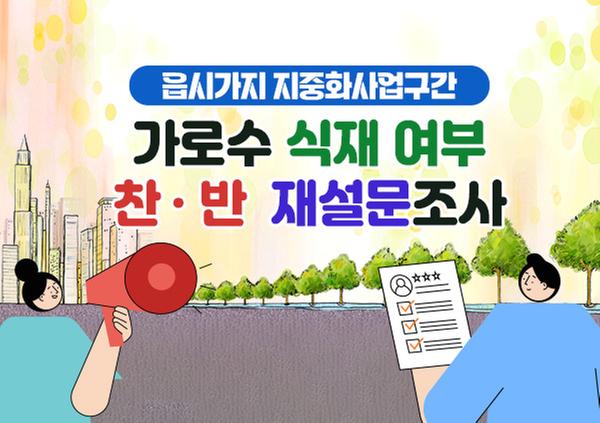 읍시가지 지중화사업구간 가로수 식재 여부 찬·반 재설문조사