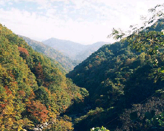 Chilseongyegok (Valley)