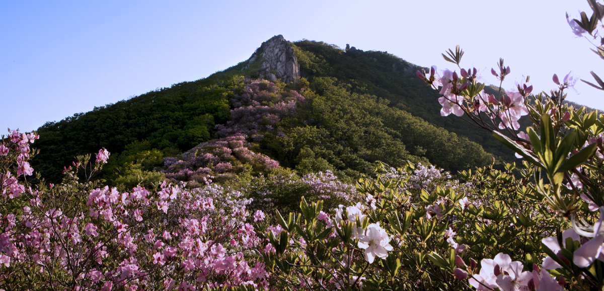 Núi Daebongsan