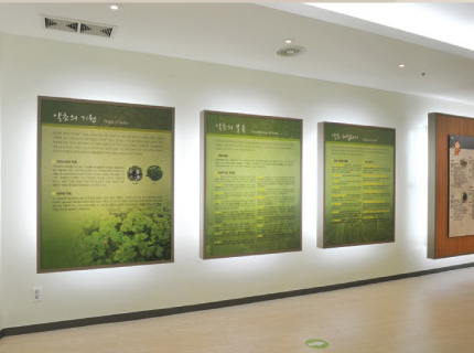 Origins of medicinal herbs, categorizing and collecting medicinal herbs, key herbs found at Hamyang Native Medicinal Herb Market