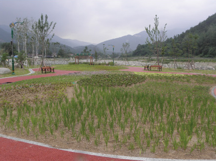 Khu vực ngoài trời của Bảo tàng khoa học thảo dược Hamyang