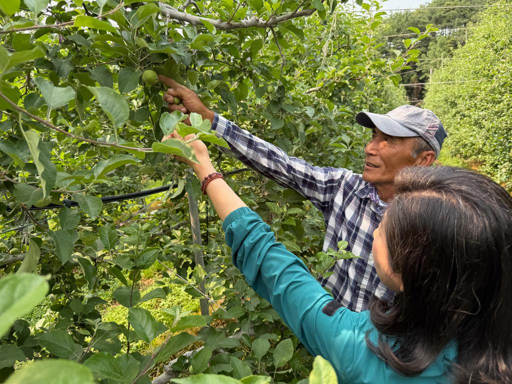 함양군 수동면 3~4월 이상 저온 냉해 피해 농업재해 조사