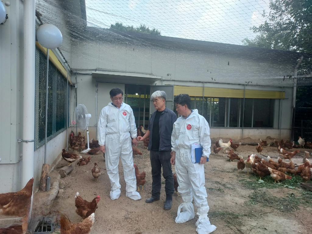진병영 함양군수 소규모 양계농장 방문 현장 소통 강화