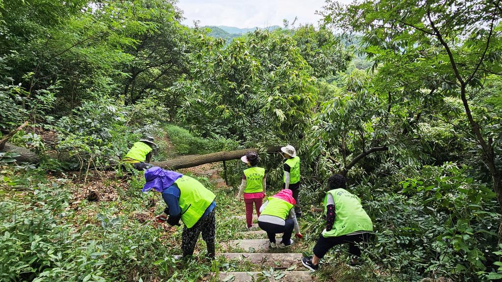 함양 수동면 자연보호협의회 호우 피해 연화산 등산로 정비