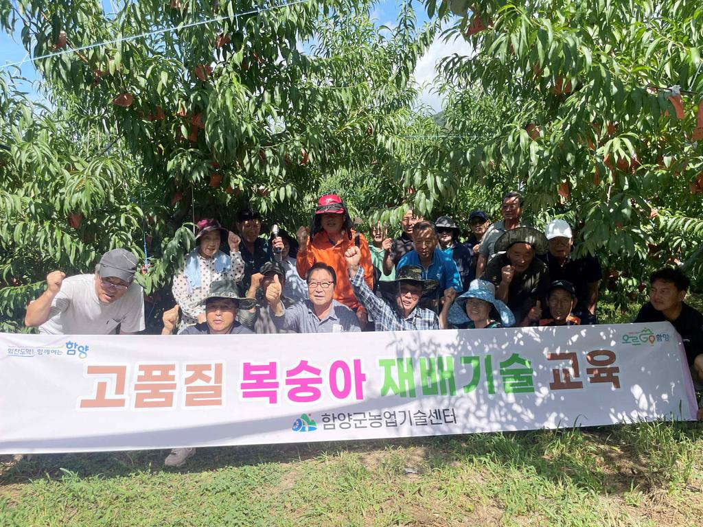 만생복숭아 수확기 교육