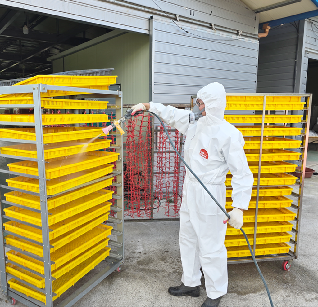 곶감 위생관리 사진