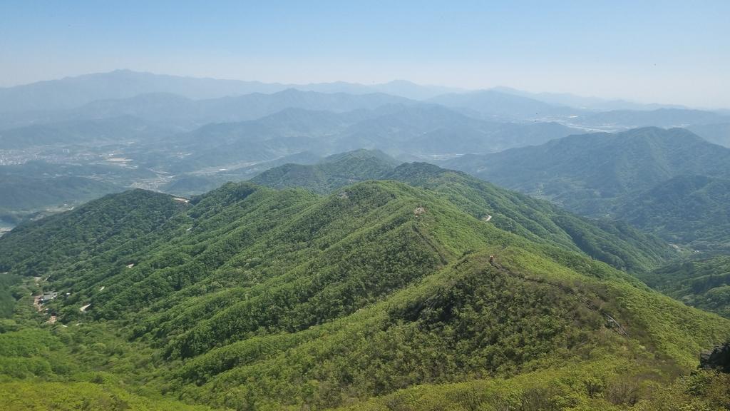 함양군 소나무류 반출 금지구역 10월 21일 자로 일부 해제