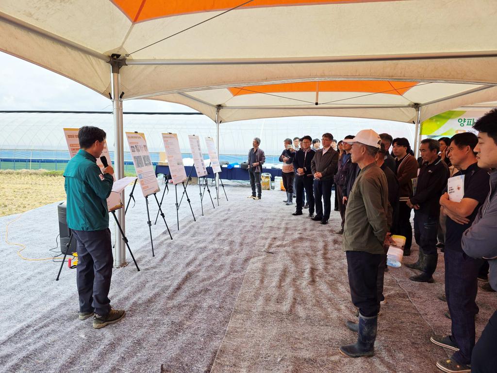 함양에서 양파 기계정식용 노지육묘 기술 첫 현장설명회 개최