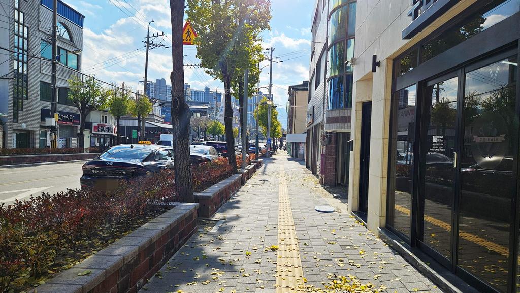 도로정온화 사업(두루침교~낙원사거리)