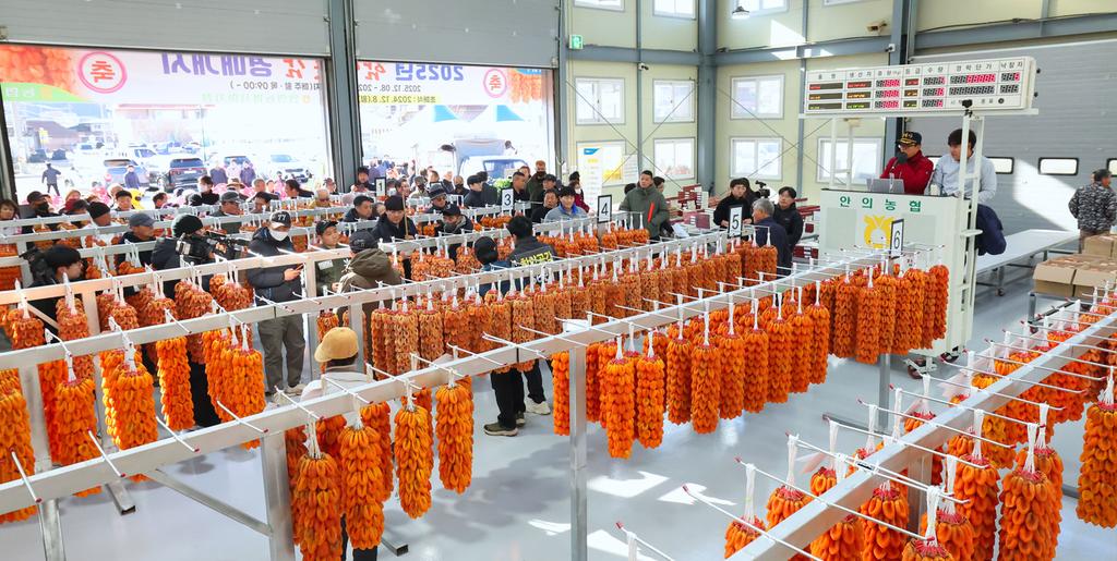 함양곶감 초매식