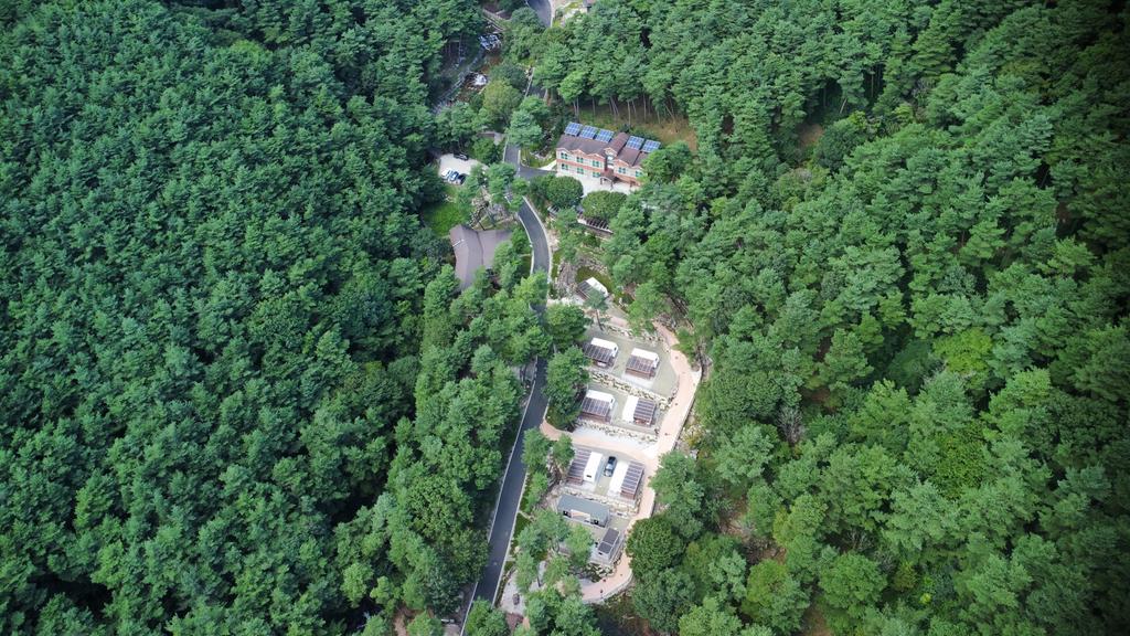 대봉산자연휴양림 전경