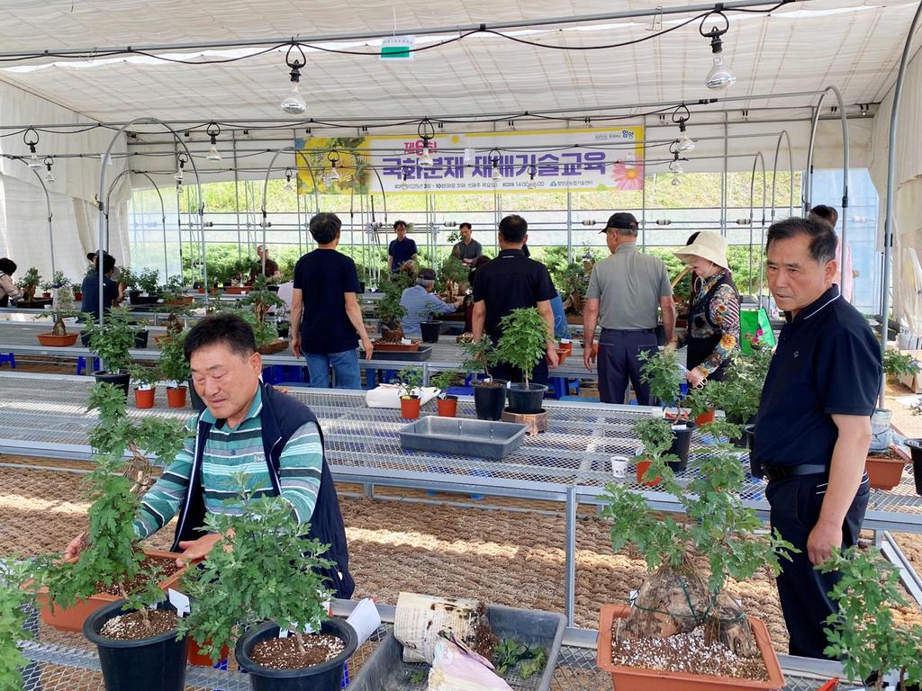 국화분재 재배기술교육