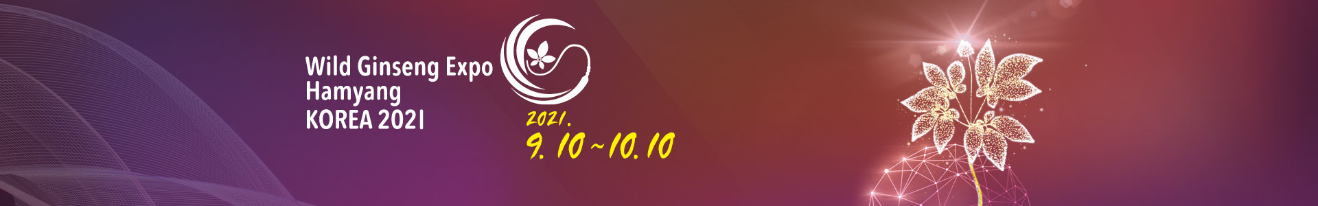 일천년의 산삼, 생명연장의 꿈. 2020 함양 산삼 항노화 엑스포. Wild Ginseng Anti-aging Expo Hamyang, KOREA.
