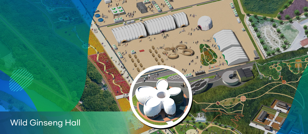 Wild Ginseng Hall-Wild Ginseng Hall