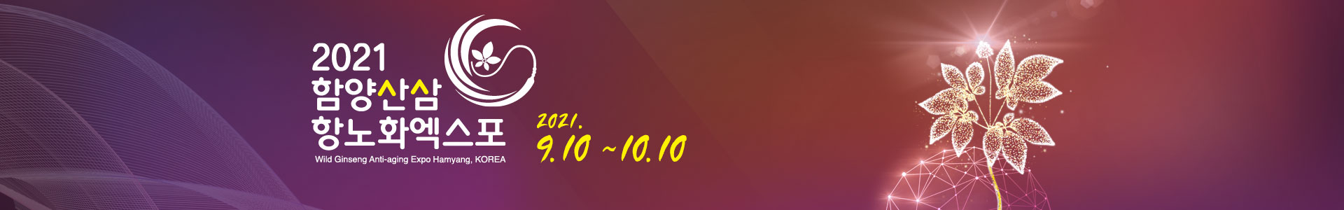 일천년의 산삼, 생명연장의 꿈. 2020 함양 산삼 항노화 엑스포. Wild Ginseng Anti-aging Expo Hamyang, KOREA.