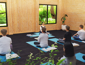 산삼항노화 힐링 체험관