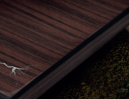 함양산삼 그래픽 적용예시