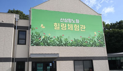 Wild Ginseng Anti-Aging and Healing Hall