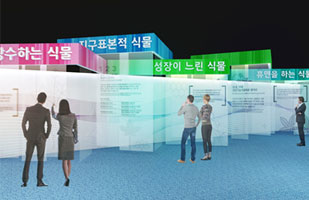 산삼, 흥미로운 식물