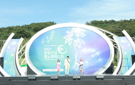 스페셜 콘서트