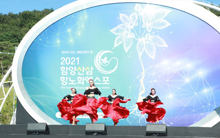 글로컬문화공연