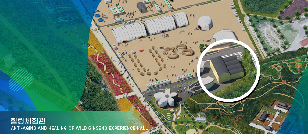 힐링체험관-Anti-aging and Healing of Wild Ginseng Experience Hall