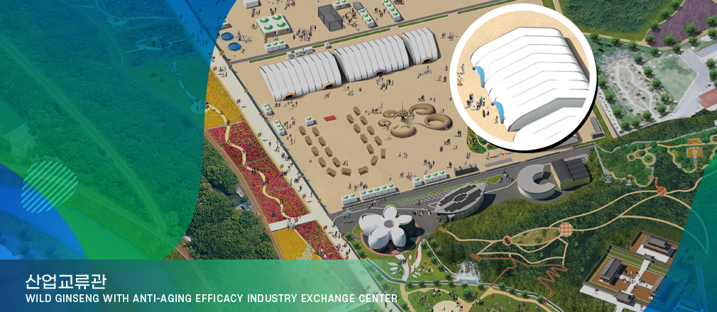 산업교류관-Wild Ginseng with Anti-Aging Efficacy Industry Exchange Center