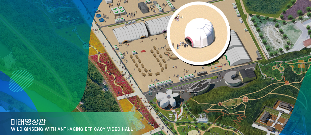 미래영상관-Wild Ginseng with Anti-Aging Efficacy Video Hall