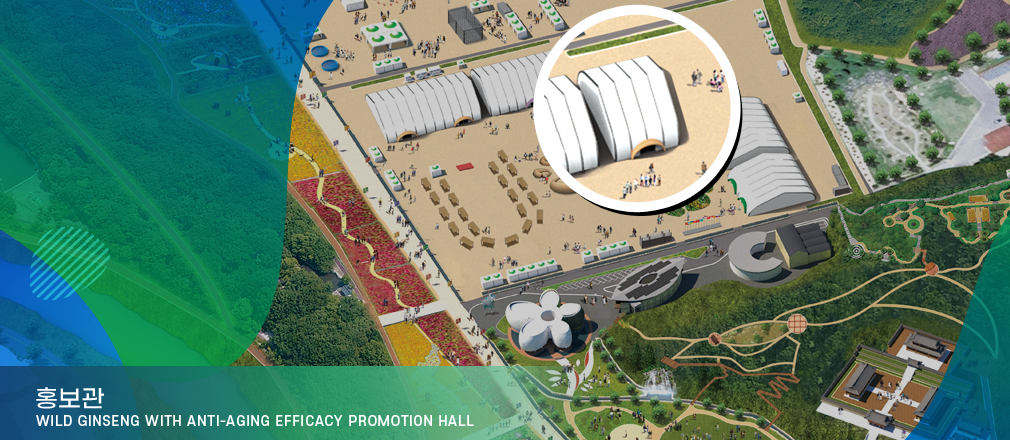 홍보관-Wild Ginseng with Anti-Aging Efficacy Promotion Hall 